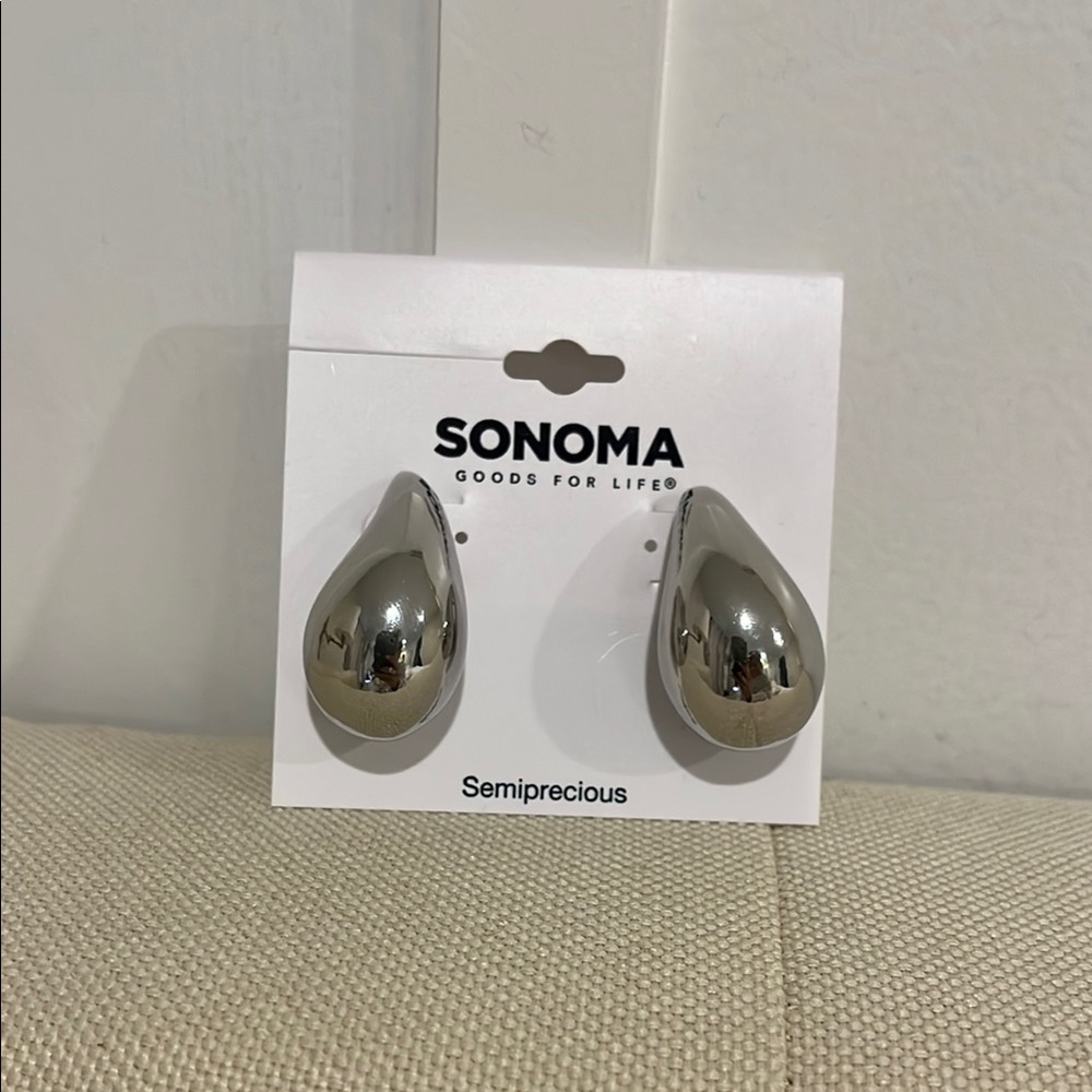 Shiny Silver Teardrop Earrings